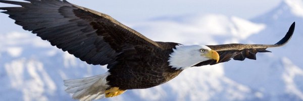 OfNegative1 Profile Banner