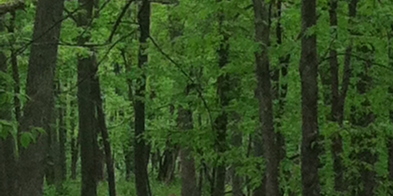 Freakademic's profile banner image