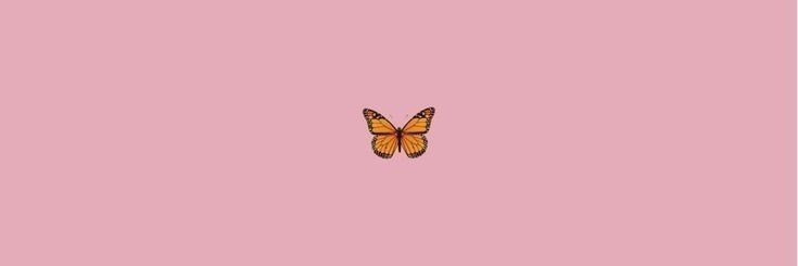 Mysavinha banner
