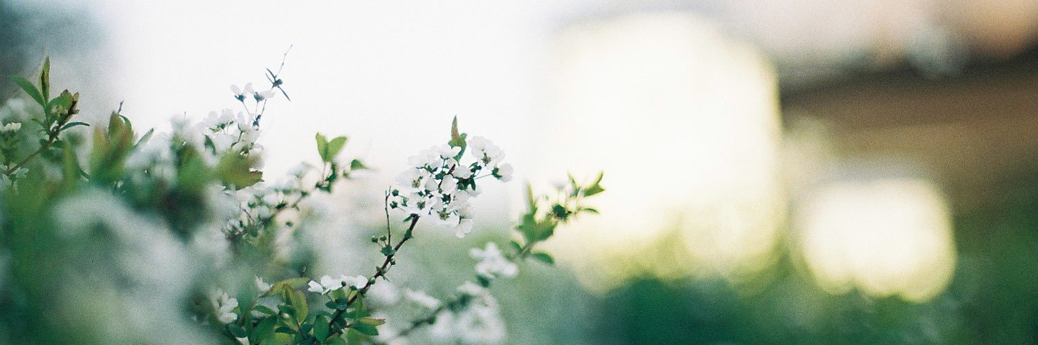mrk0524's profile banner image