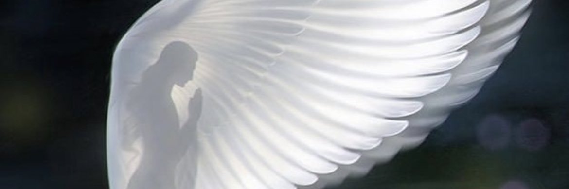 6 ايار 🦚 banner