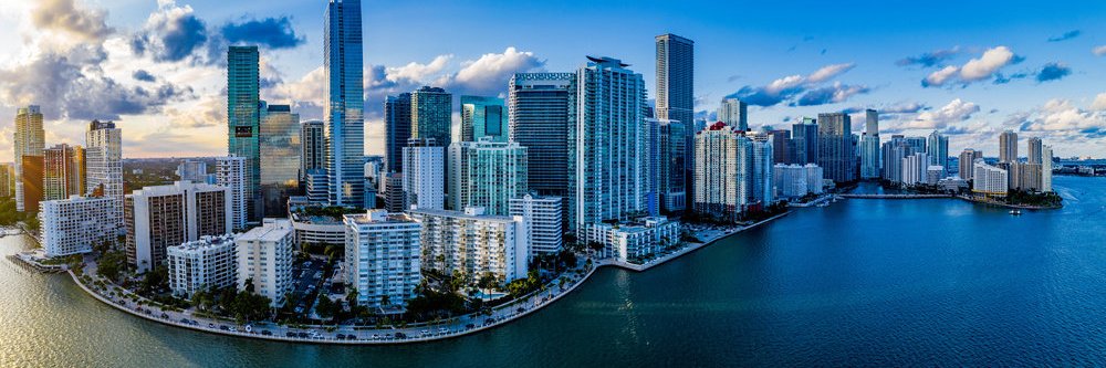 Black Dragon Capital banner