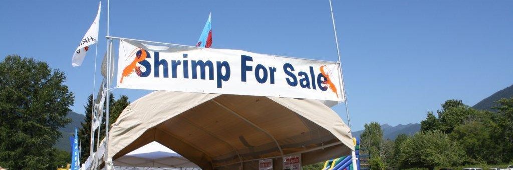 Shrimpfest_WA's profile banner image