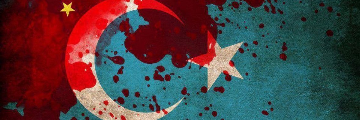 InanZca's profile banner image