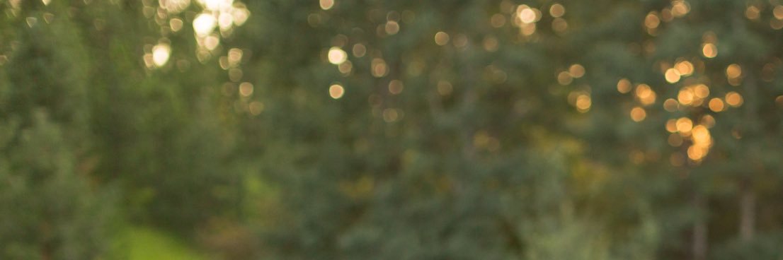 NateBarham's profile banner image