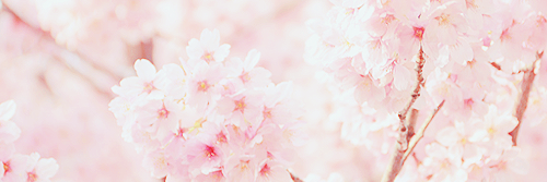 Spwing_Closed's profile banner image