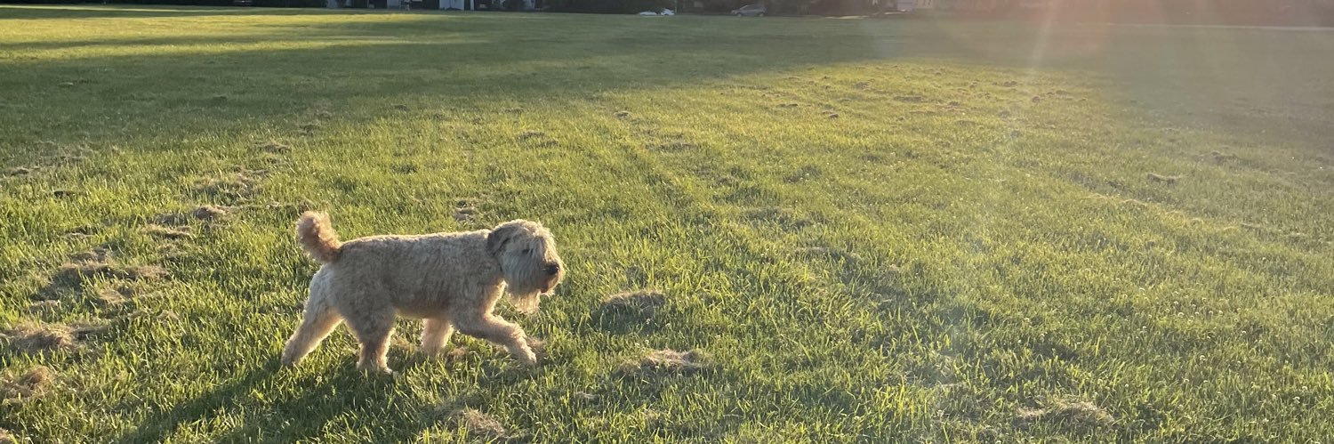 Colleen Stone banner