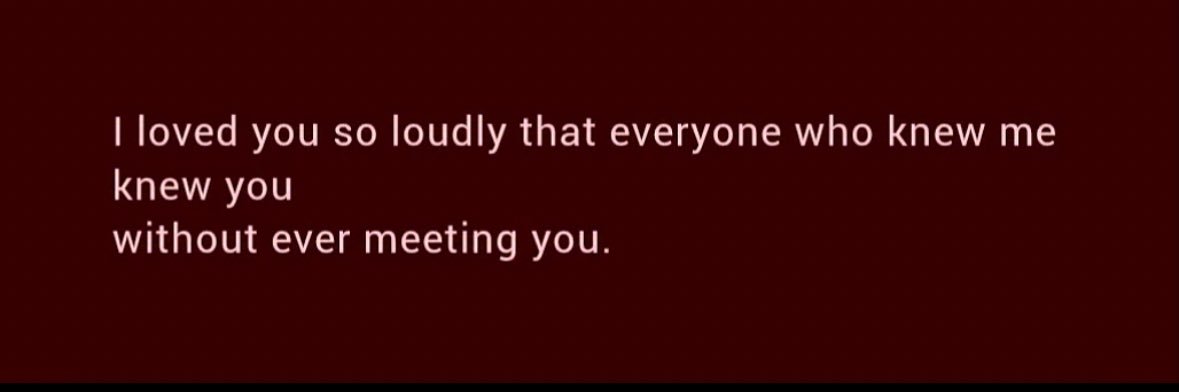 zvlfans's profile banner image