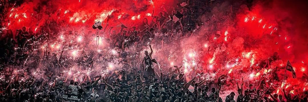 mtanoeiro's profile banner image
