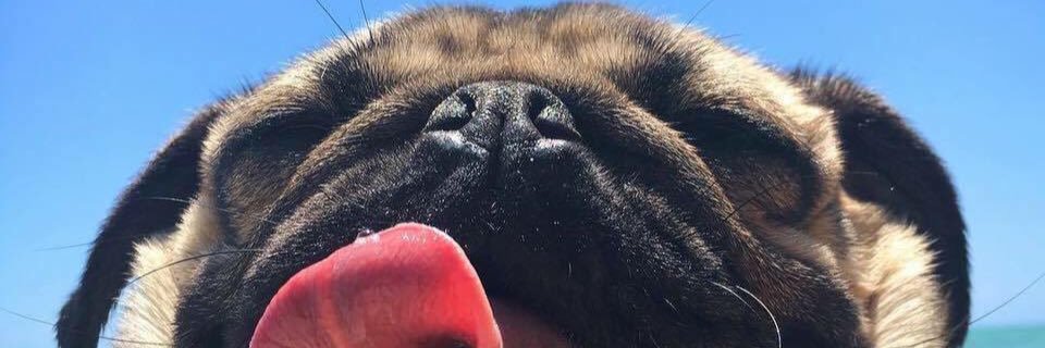 thamiires_r's profile banner image