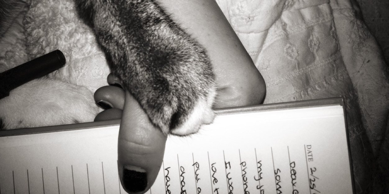 CatMan_Charlie's profile banner image