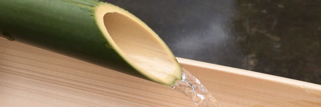 aaaaaaanns____'s profile banner image