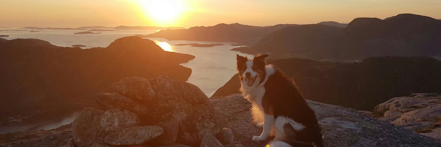 Frode Kallelid banner