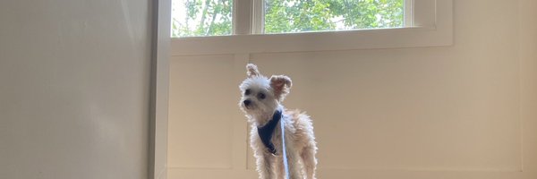 Samweltyart Profile Banner