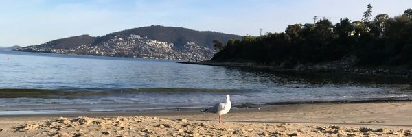 KeweiLyu Profile Banner