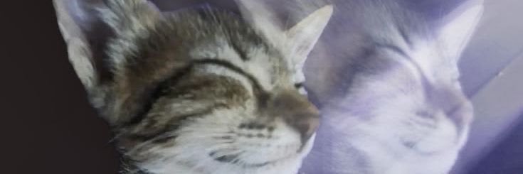 gupinks's profile banner image