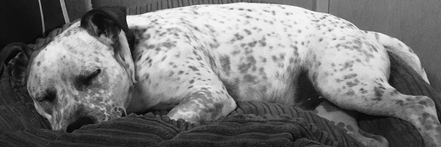 Gilly_bobs's profile banner image