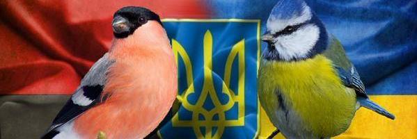 pasternak8's profile banner image