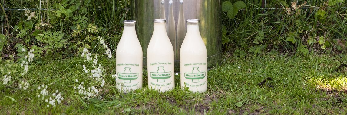 NellsDairy's profile banner image