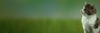 🍷🍹χανια 🍹🍷 banner