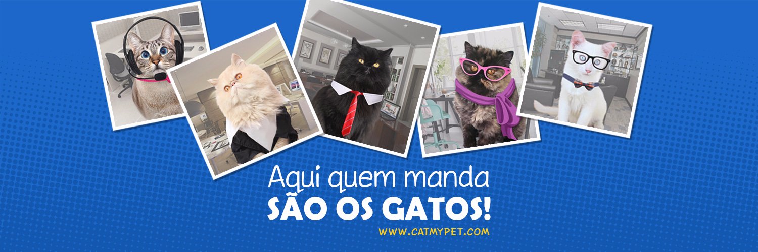 catmypet's profile banner image