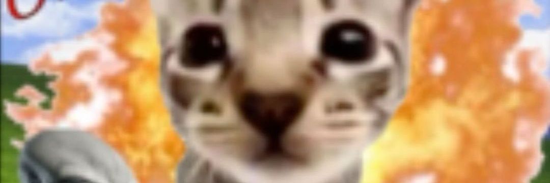 Krish Shrotiya banner