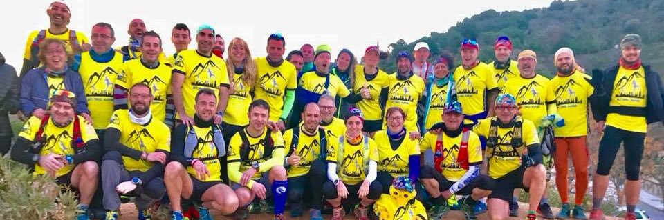 David Fernandez banner