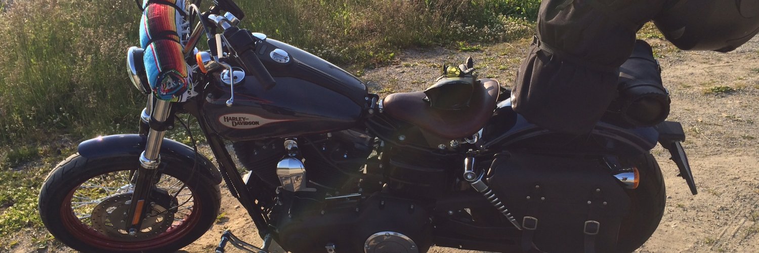 Runestone Rider banner