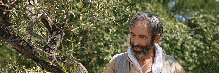 Zaman Bob❤️‍🔥 banner