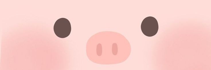 meelisyyy's profile banner image
