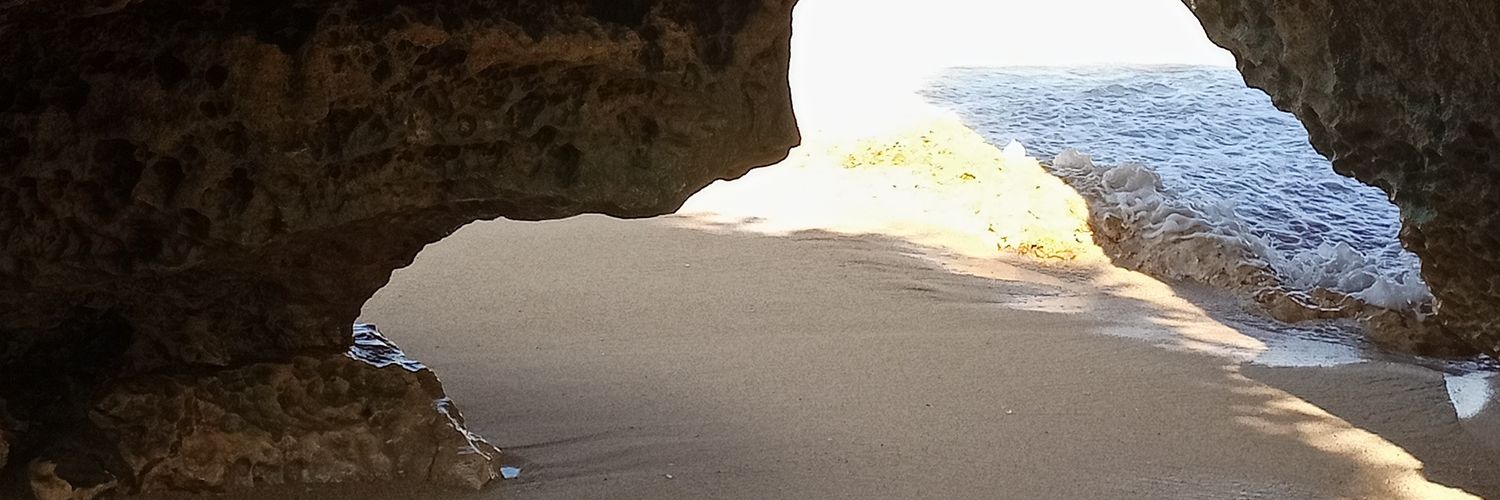 bubbleboonie's profile banner image