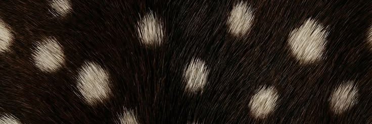 wonbinbgt's profile banner image