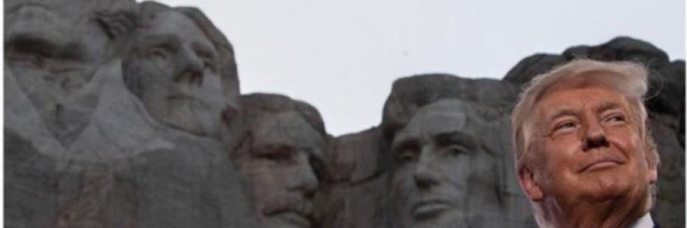 D.S banner