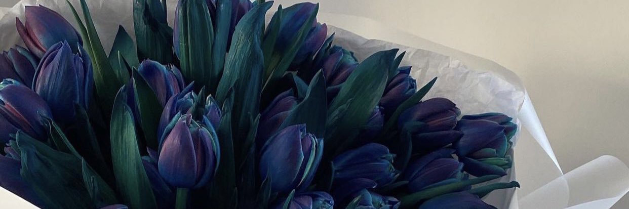 amjadnasser294's profile banner image