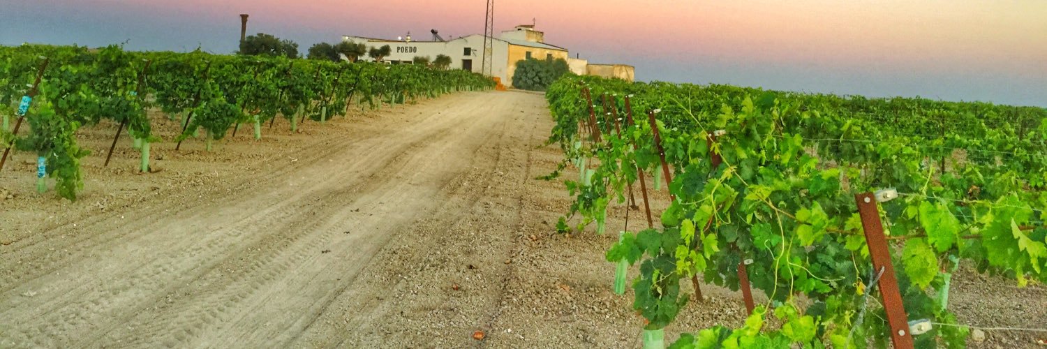 BodegasBaron's profile banner image