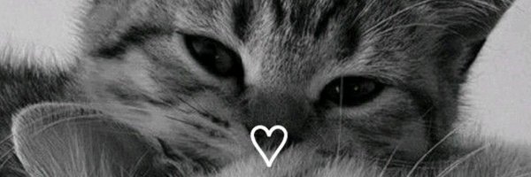 fvck3rs_ Profile Banner