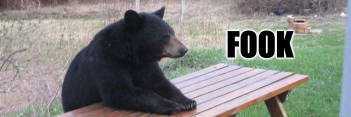 Fook banner