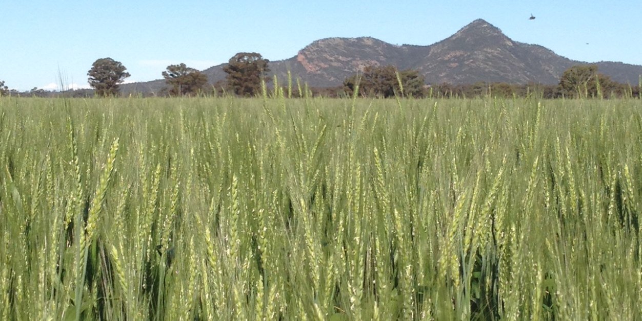 Warwick Holding banner