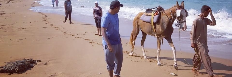 channaism's profile banner image