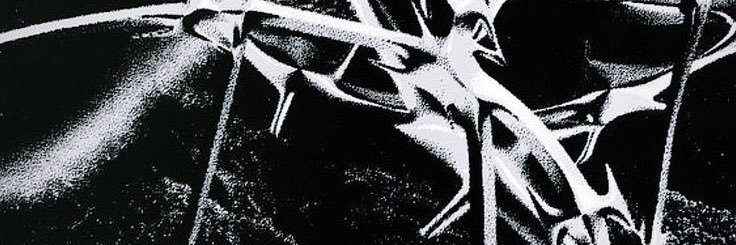 Niəl banner