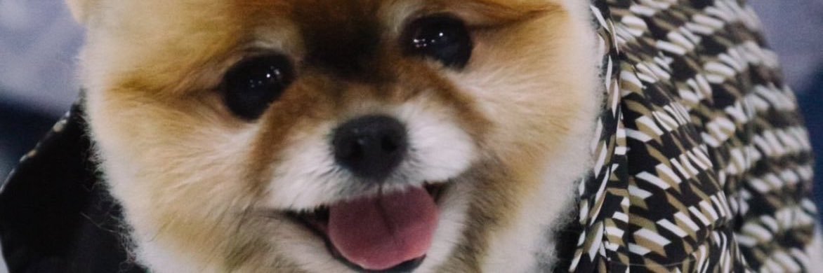 onMEWway's profile banner image