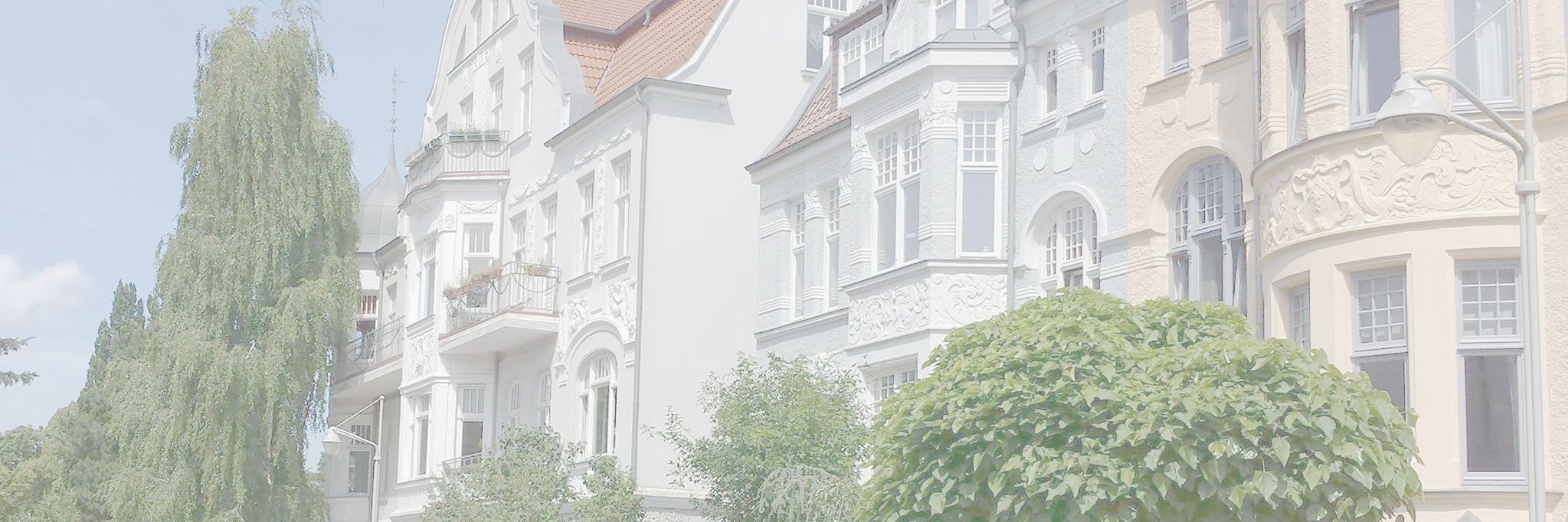 Alfred_Stegmann's profile banner image