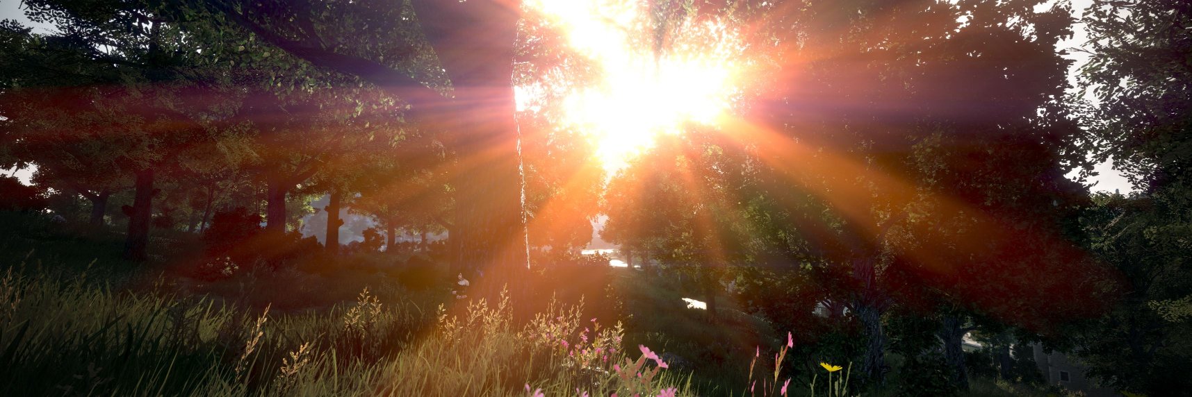 LightriverArt's profile banner image