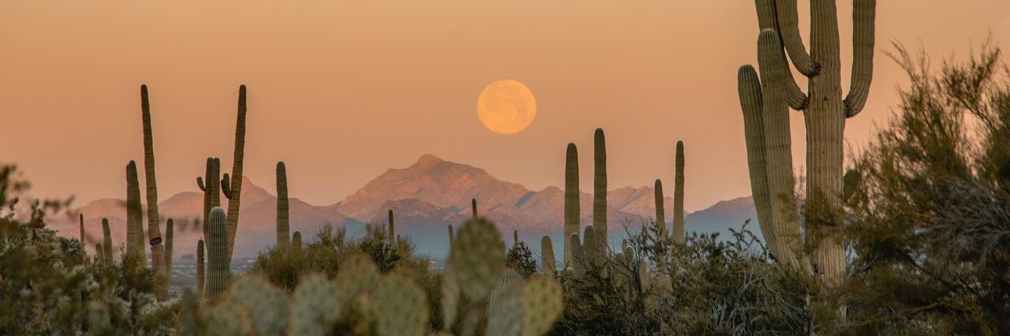 | quietfvckboy91 🏴‍☠️⚡ banner