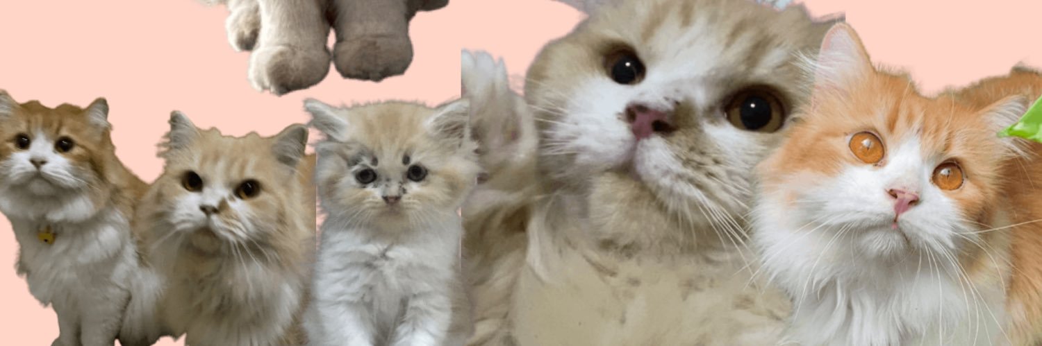 mokodud's profile banner image