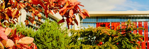 BCUDVCAcademic's profile banner image