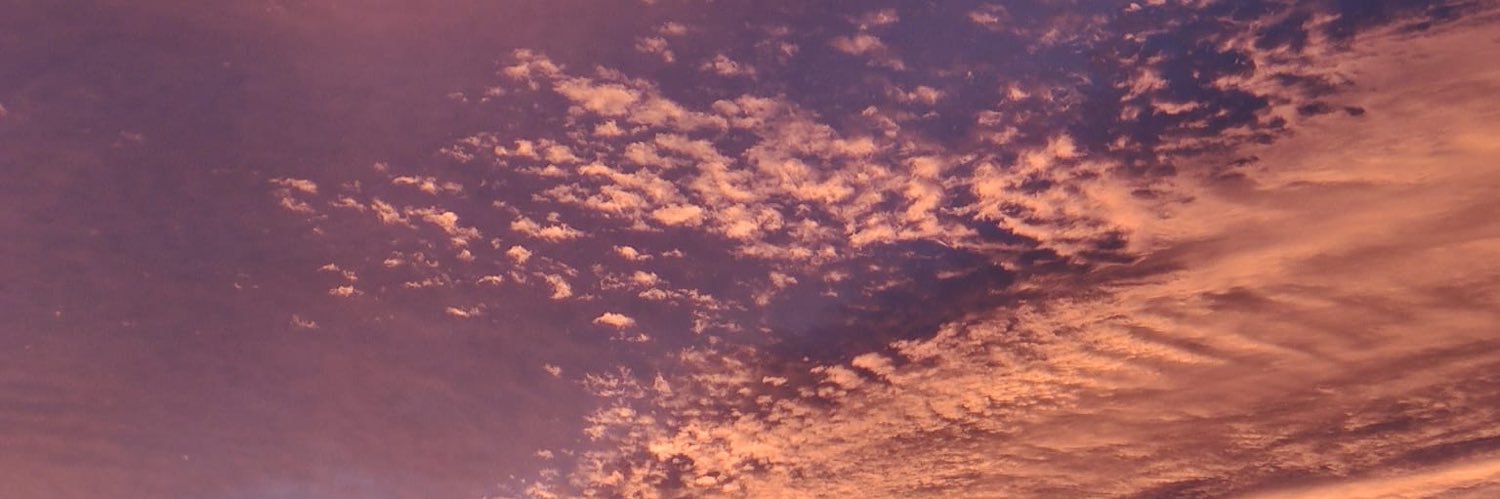 Jules ⸆⸉ 🐸🌻 banner