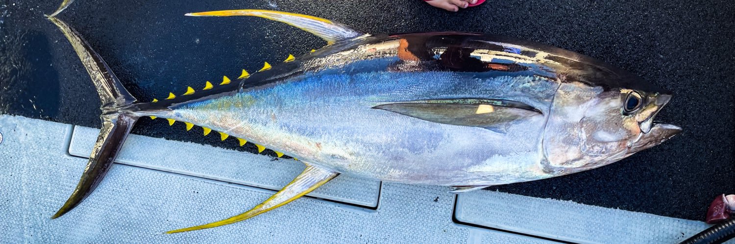 パワフルルアーズ banner