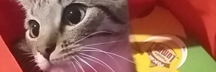 Mathyno 💥 banner