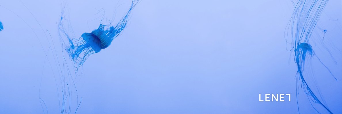 havette's profile banner image
